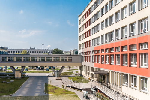 开云官方网页登录-中国青少年篮球课程体系现代化建设，《中国青少年篮球训练教学大纲(2013版)》