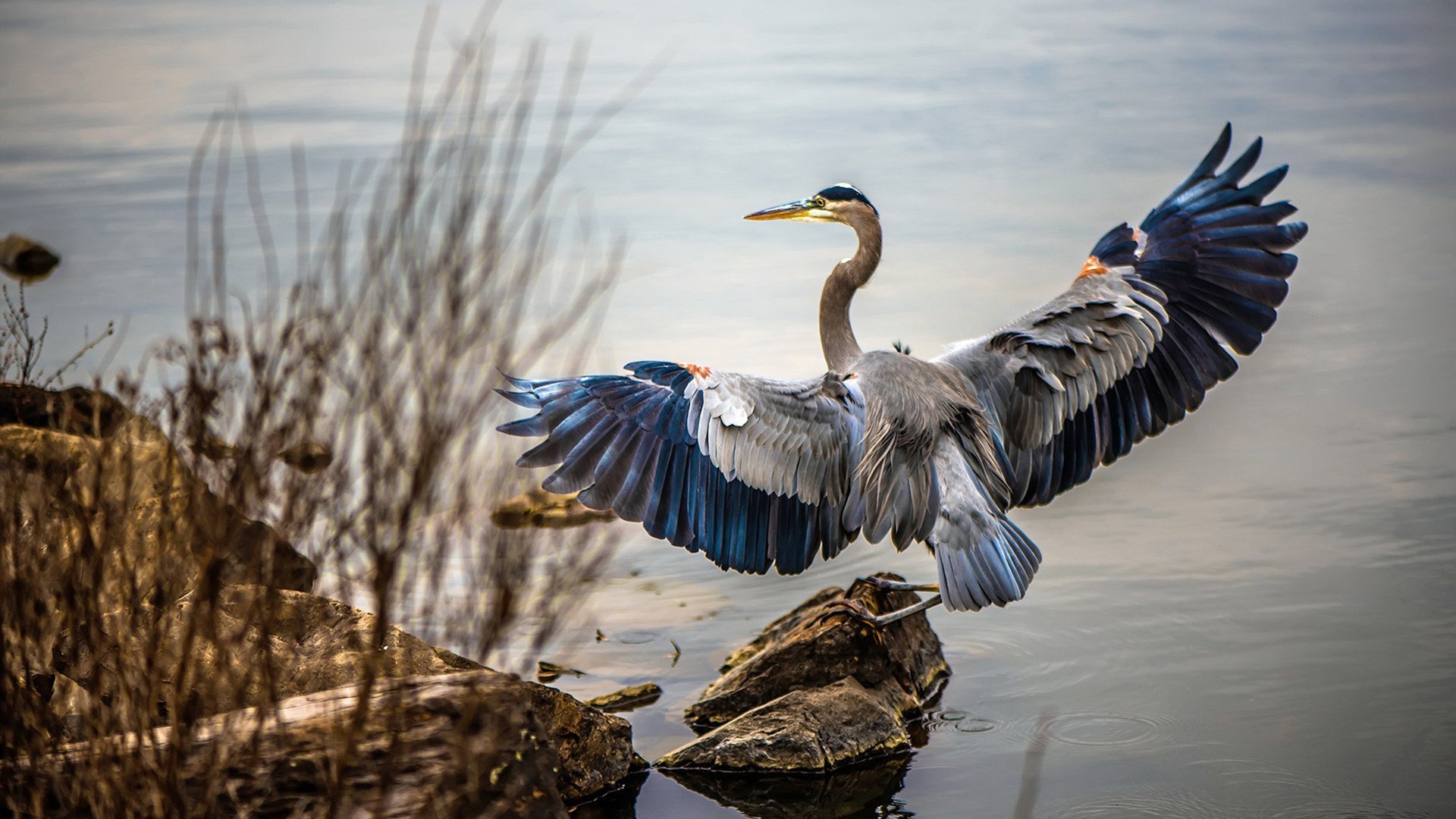 开云官方-英超球队高位逼抢策略对对手传控效率的影响研究，英超高对抗