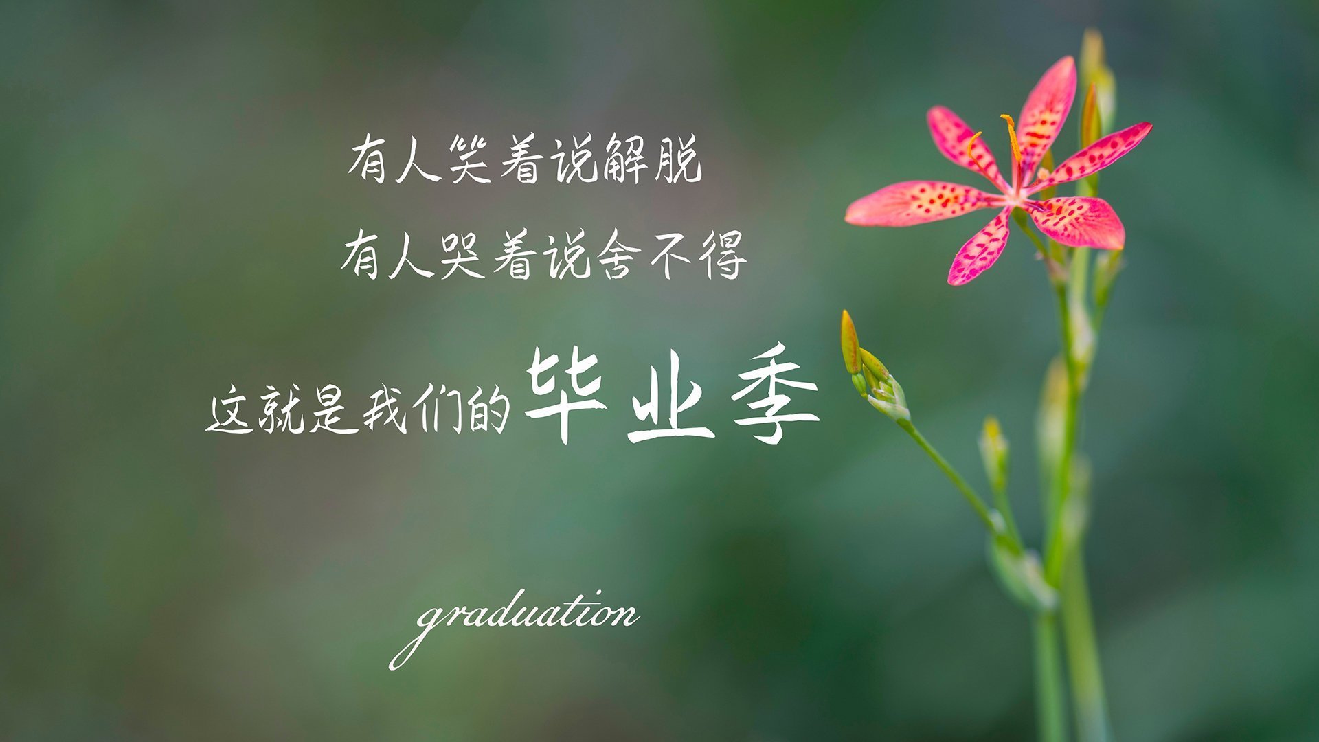 kaiyun体育app-一周热评五大体坛争议事件盘点，体坛大事记