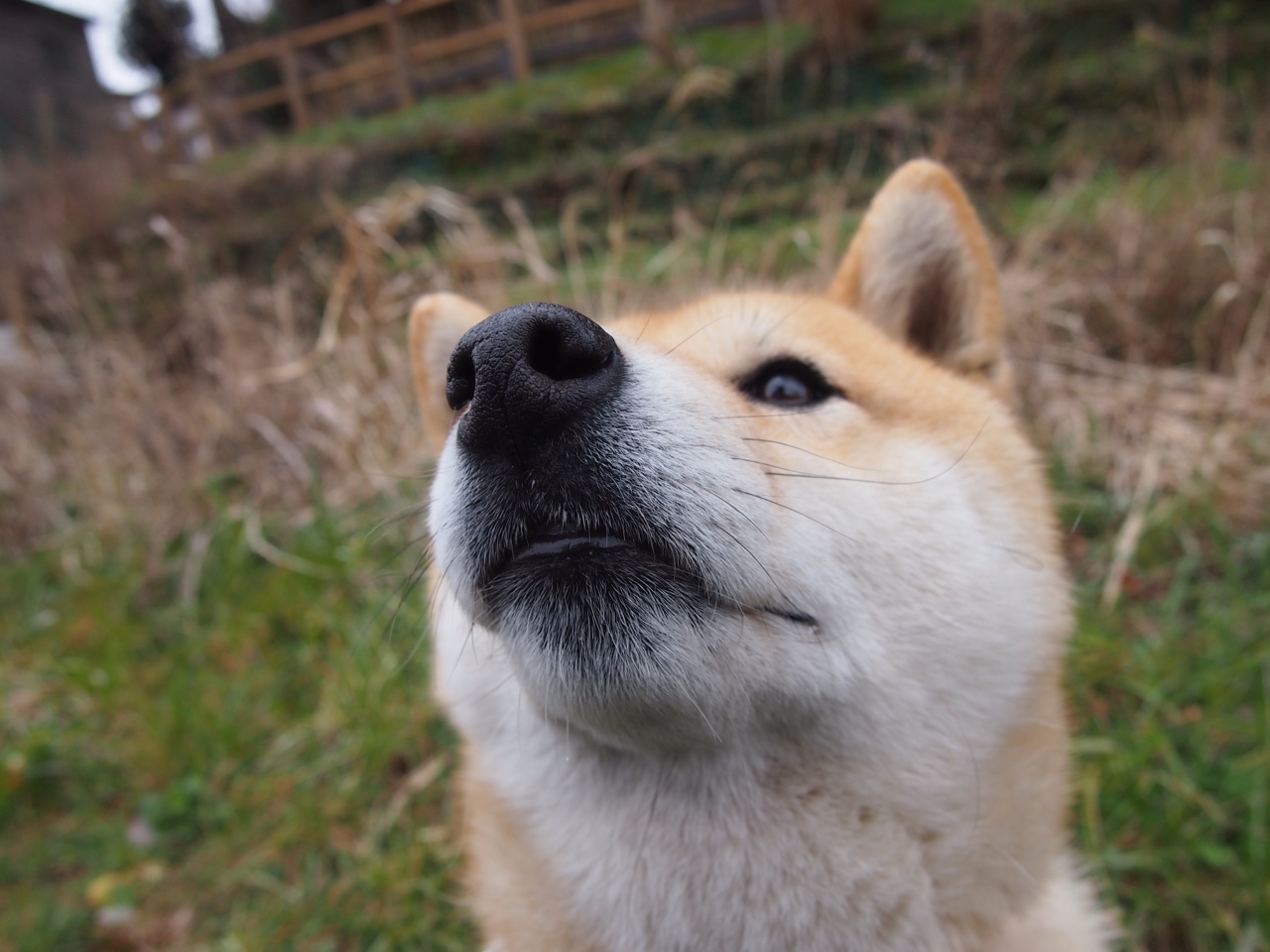 中国女篮保持高频次训练保持竞技状态，中国女篮练练