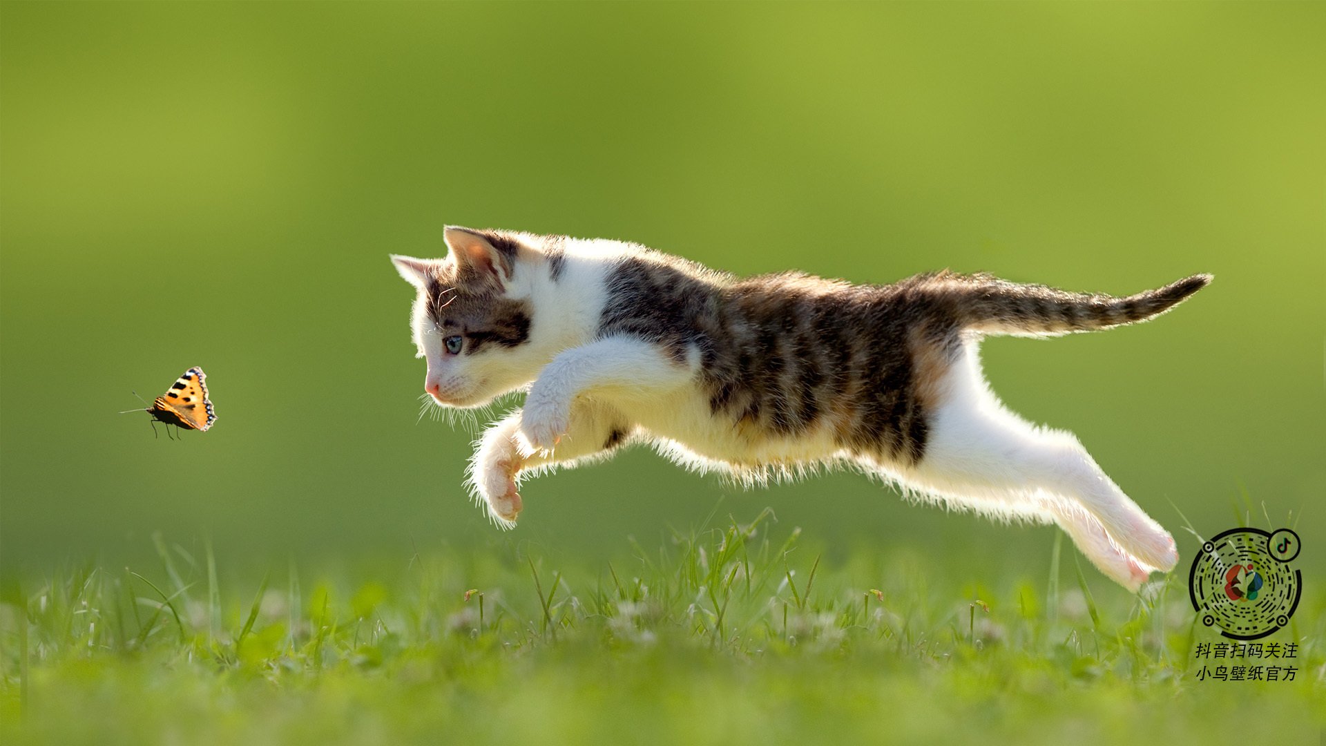 国家男篮增加国际热身赛磨合阵容与战术，男篮热身赛数据统计