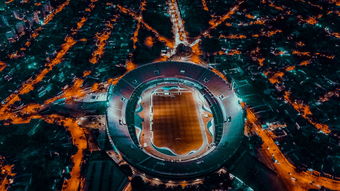 开云体育中国官网-埃及队未来规划：全方位打造高水平乒乓队伍，埃及乒乓球男团名单