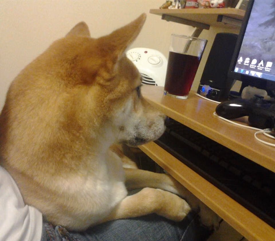 德国队未来在国际乒联混合团体世界杯中的挑战与机遇，德国队乒乓球团体赛