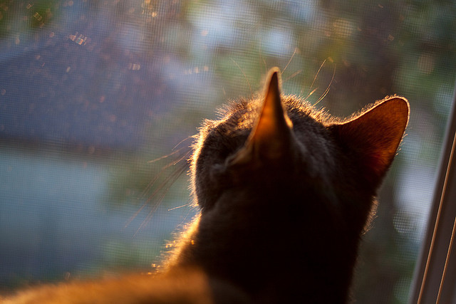 战术变化是否能掩盖球队短板，战术问题