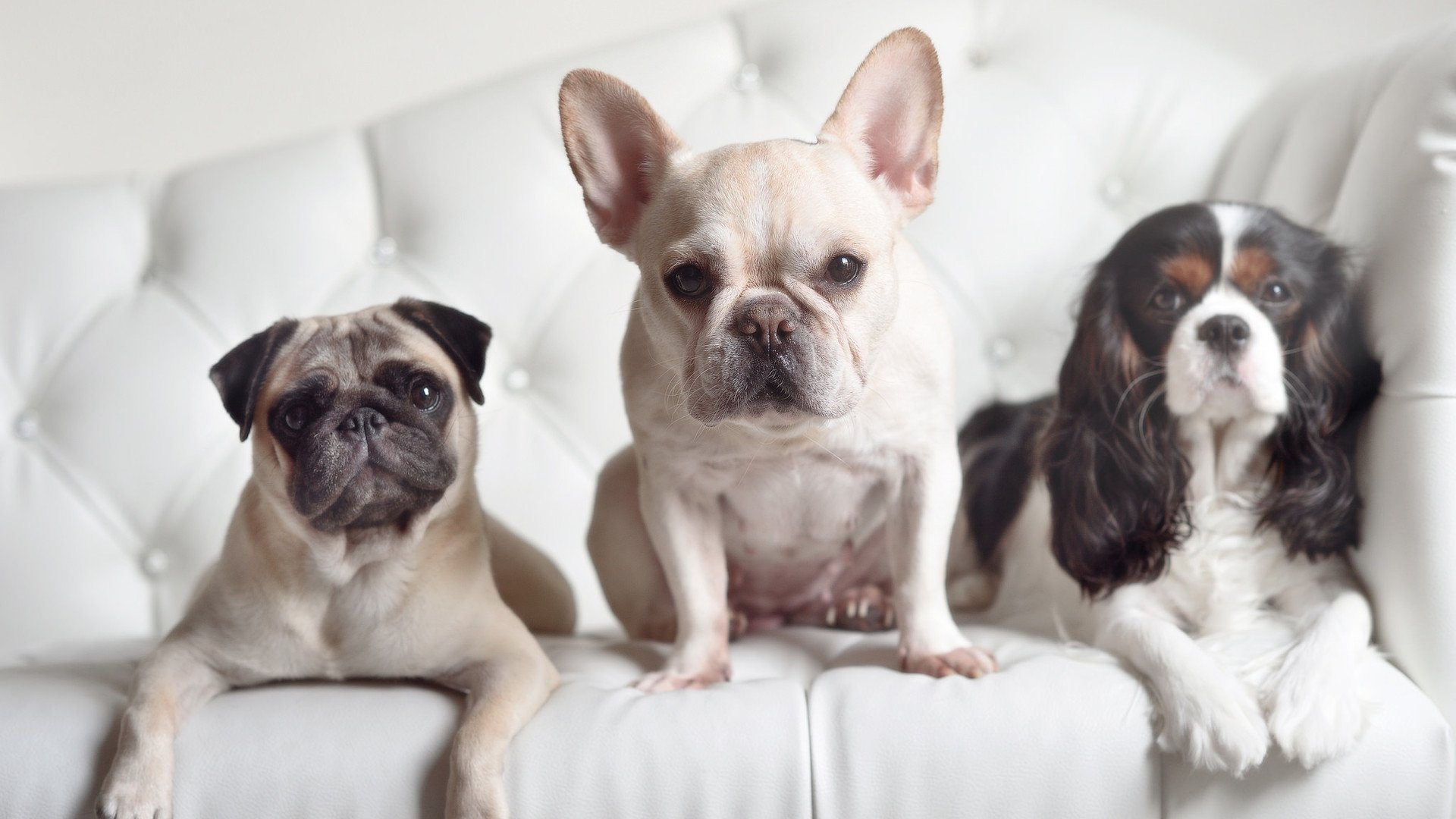 中国足球青训基地建设资金投入力度加大，中国足球青训基地有哪些