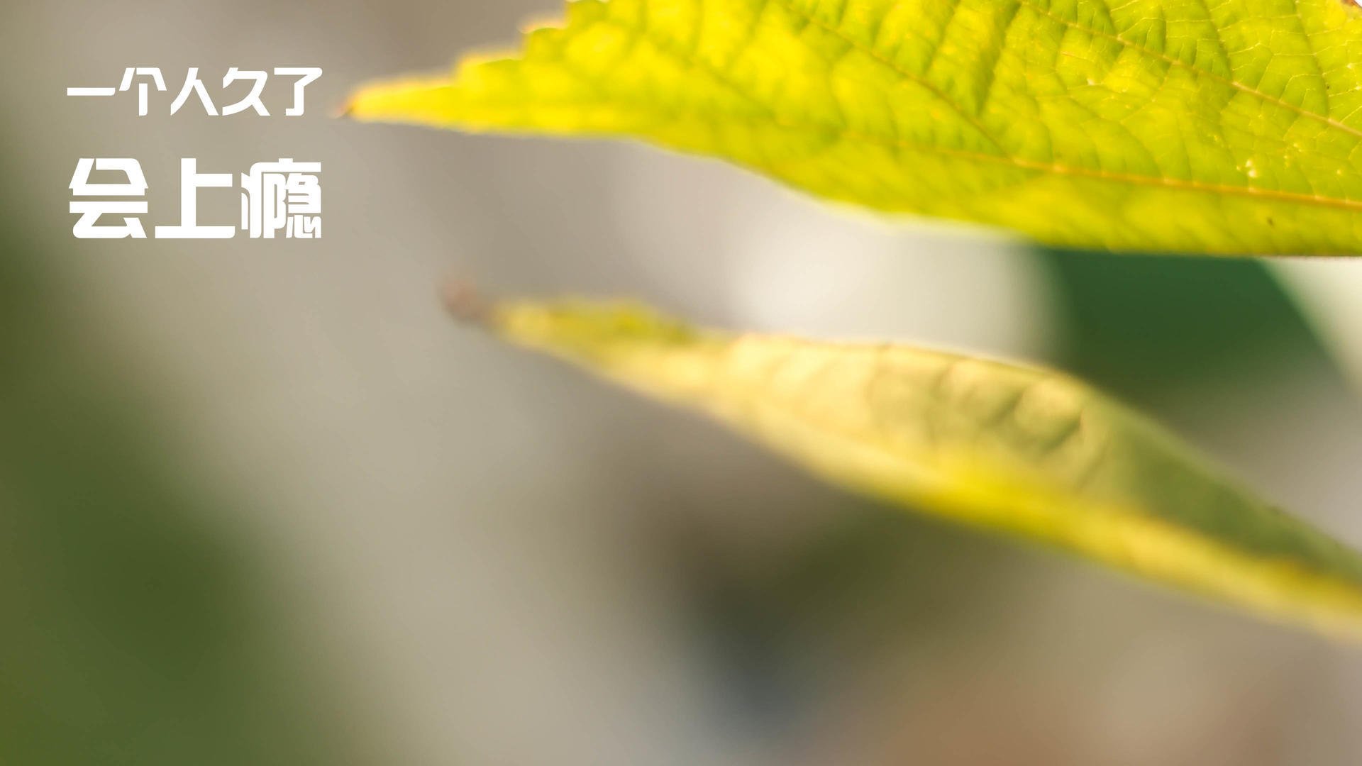 中国足球青训营引入智能训练设备,中国有哪些足球青训基地