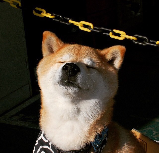 开云体育在线入口-女子篮球引入专业营养师辅助科学饮食规划，女子篮球运动员的选拔标准