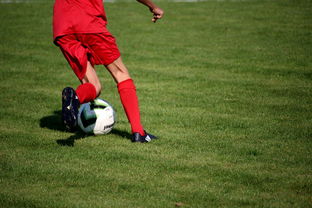 中国篮球教练员职业发展规划及培训体系，篮球教练员职业生涯规划