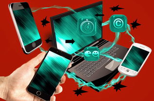 裁判团队数字考核系统试运行，裁判员管理平台